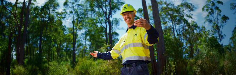 environmental assessments link link
